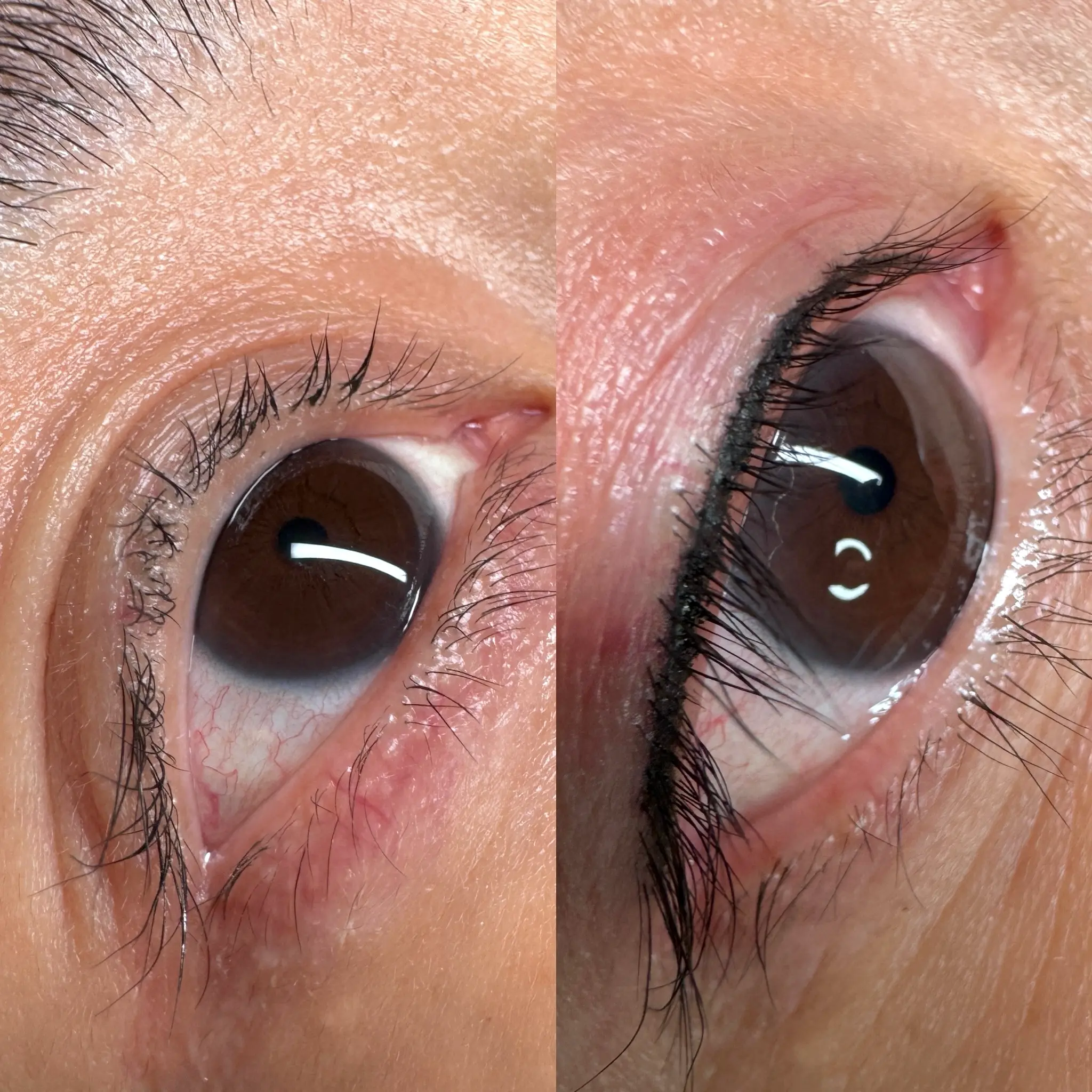 lash line enhancement near me