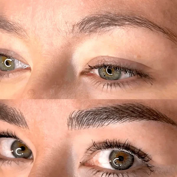 feathered eyebrows