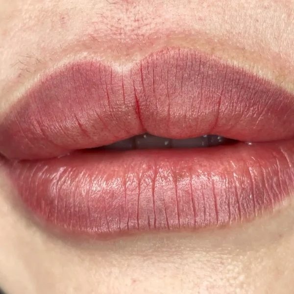 korean ombre lips