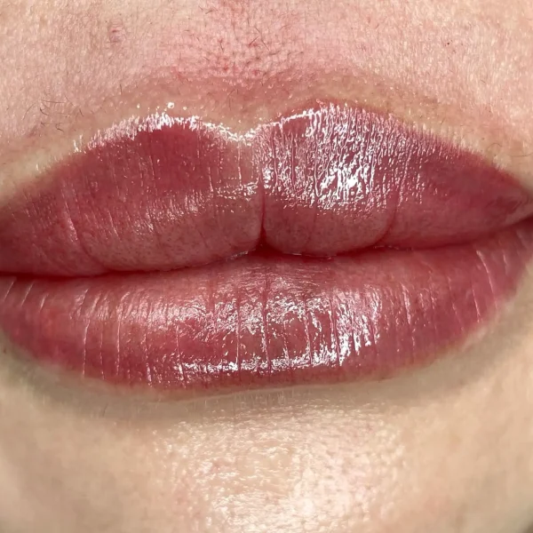 ombre lip makeup