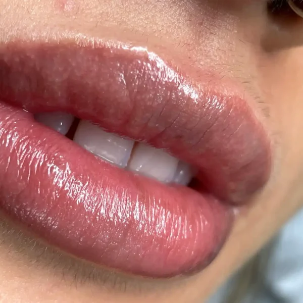 ombre lip
