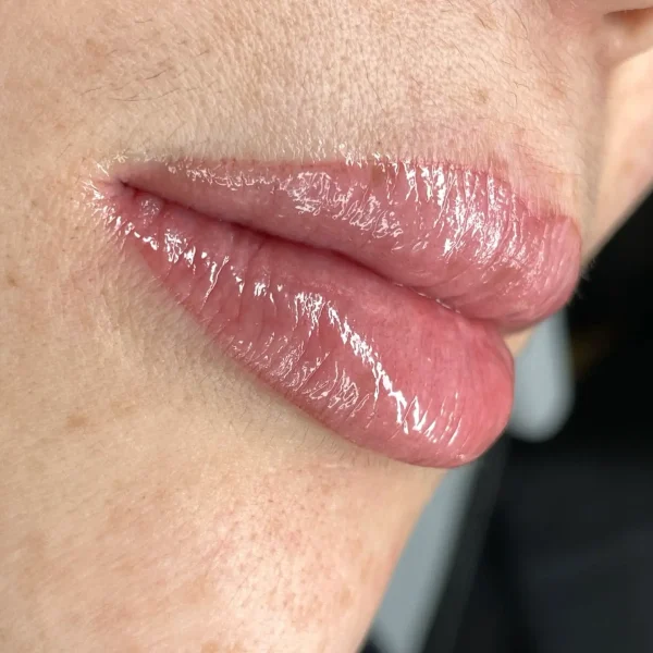 ombre lips natural