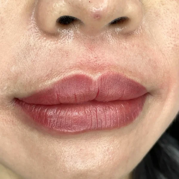 what is ombre lips